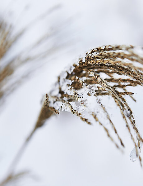 Winterliche Landschaften im Zillertal